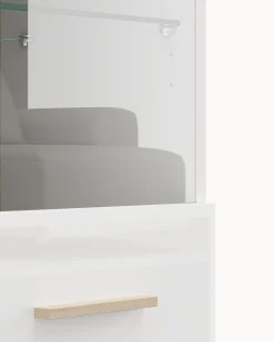 Vitrine suspensa CARLOW com 1 porta